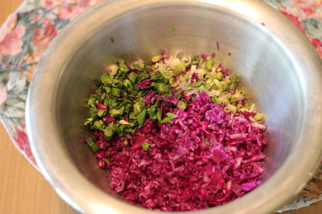 red cabbage salad