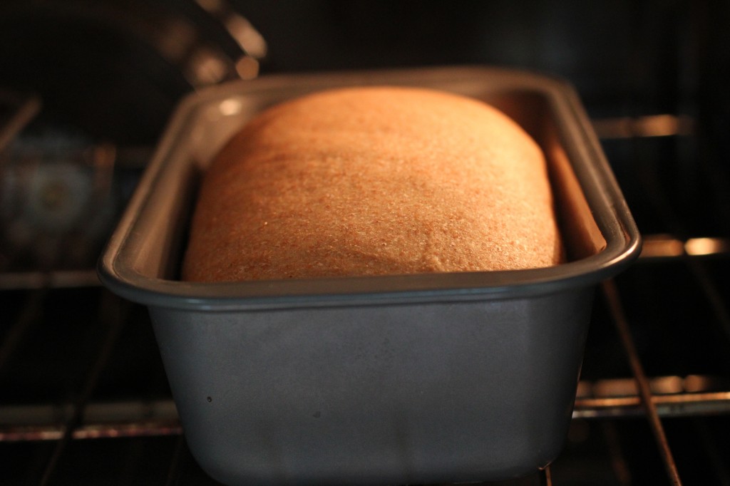 how long should bread dough rise