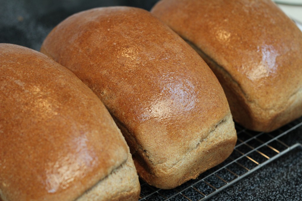 best bread recipe ever