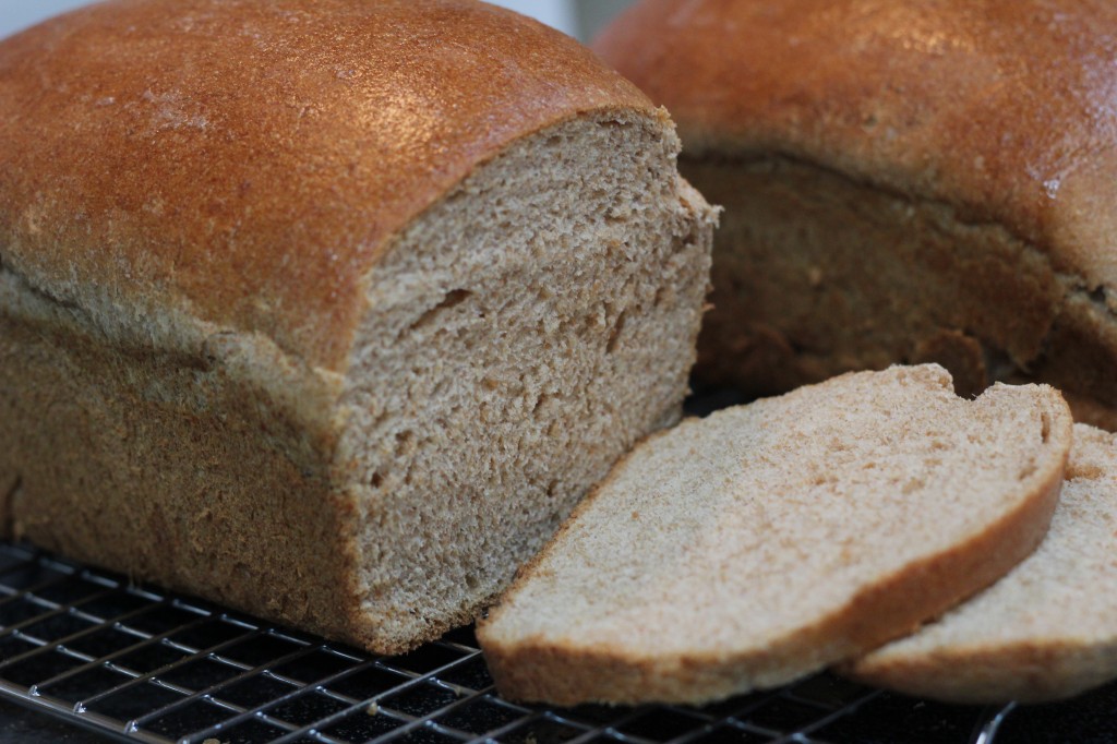 healthy whole wheat bread